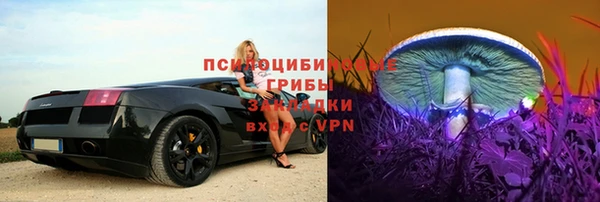 крисы Арсеньев