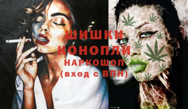 первитин Новозыбков