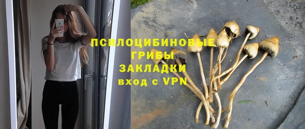 спайс Алексин