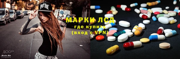 spice Аркадак